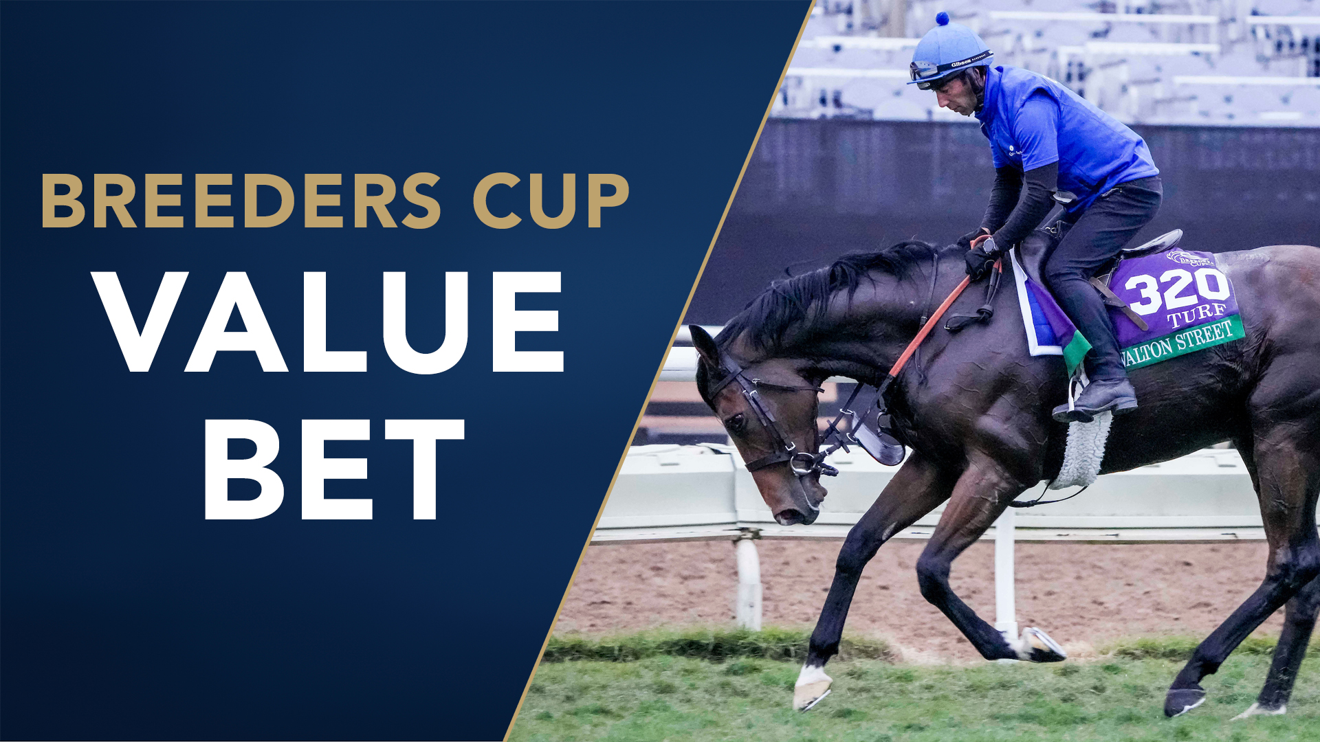 Breeders Cup tips and preview Best value bets for Del Mar on